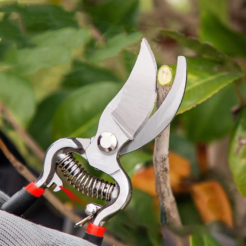 Pruner Garden Scissors Graftin - Bonsai Garden Knife recension och pris