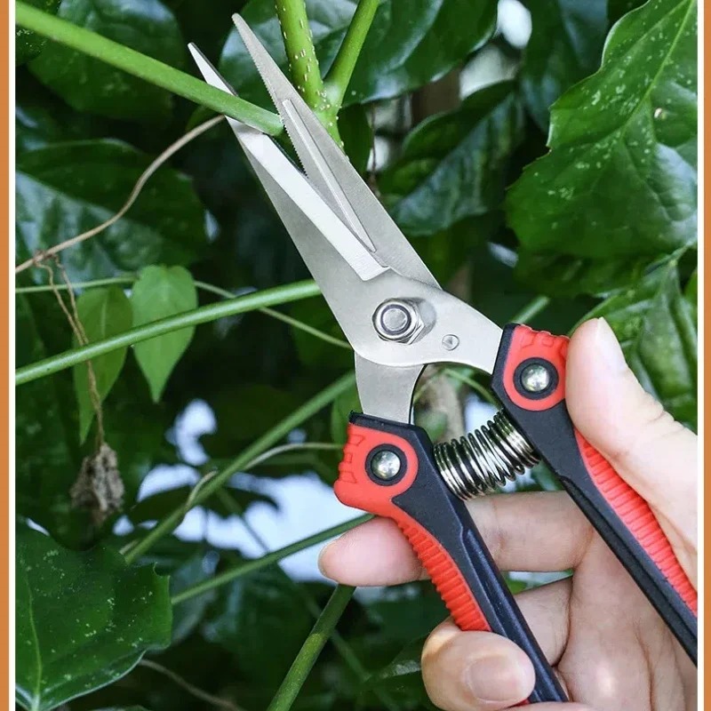 NEWSHARK Stainless Steel Pruni - Bonsai Garden Knife recension och pris