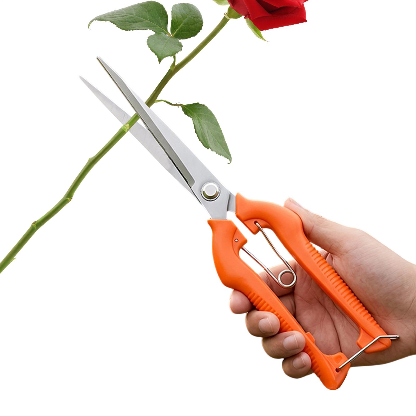Pruning Shears Grape Scissors  - Bonsai Garden Knife recension och pris