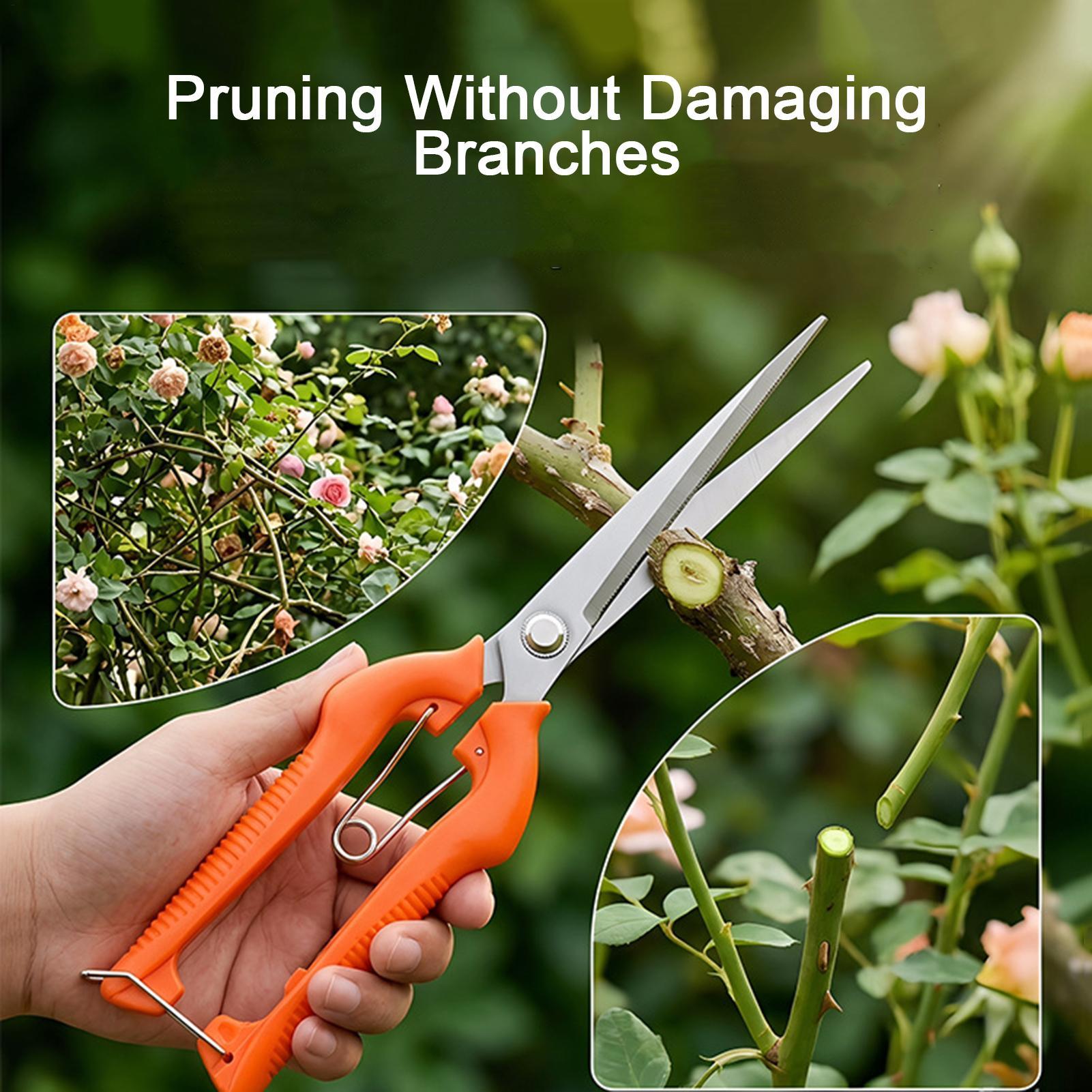 Pruning Shears Grape Scissors  - Bonsai Garden Knife recension och pris