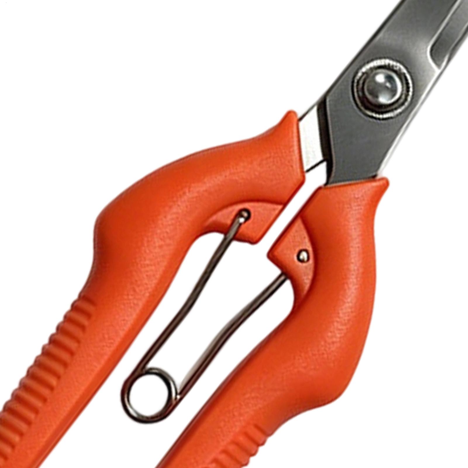 Pruning Shears Grape Scissors  - Bonsai Garden Knife recension och pris