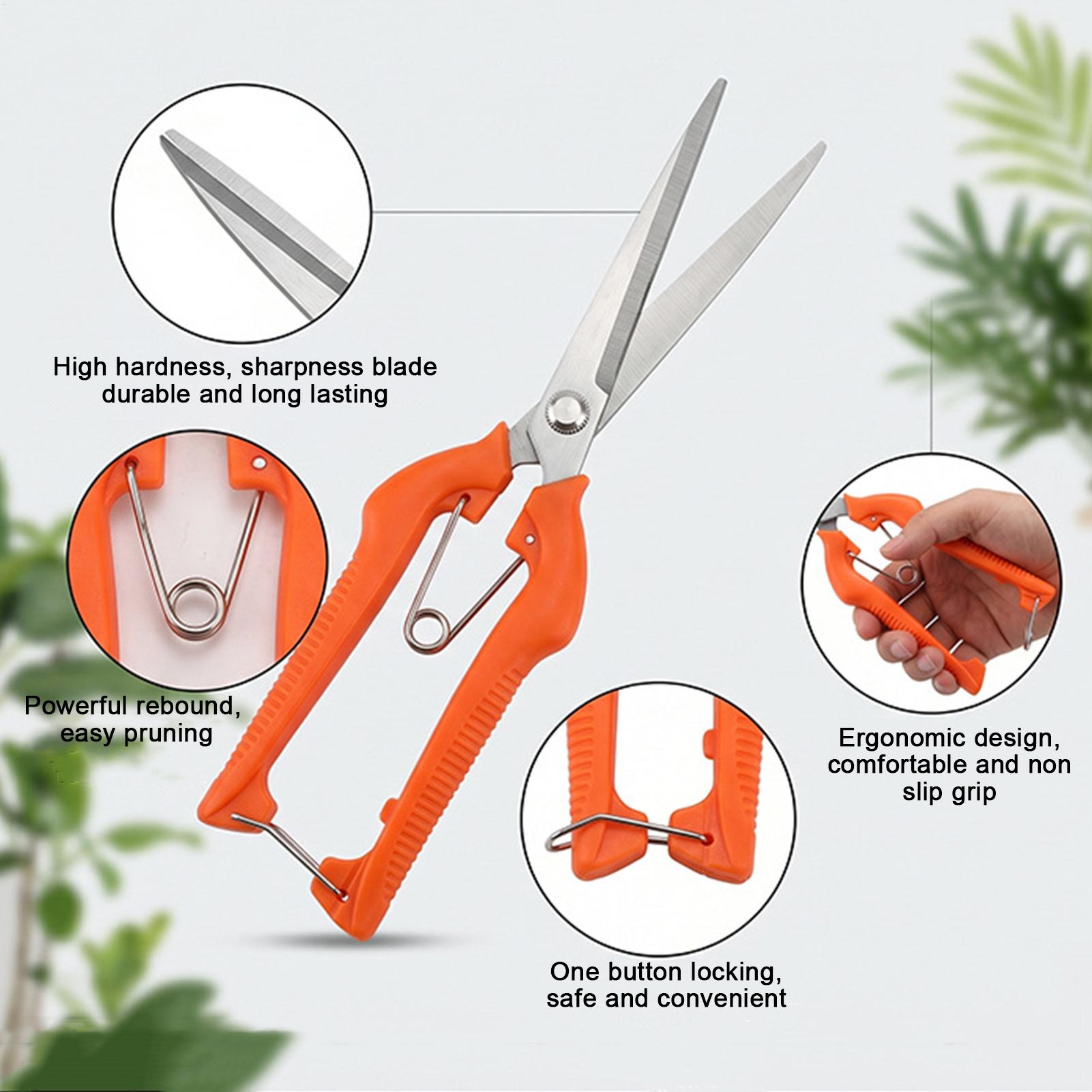 Pruning Shears Grape Scissors  - Bonsai Garden Knife recension och pris