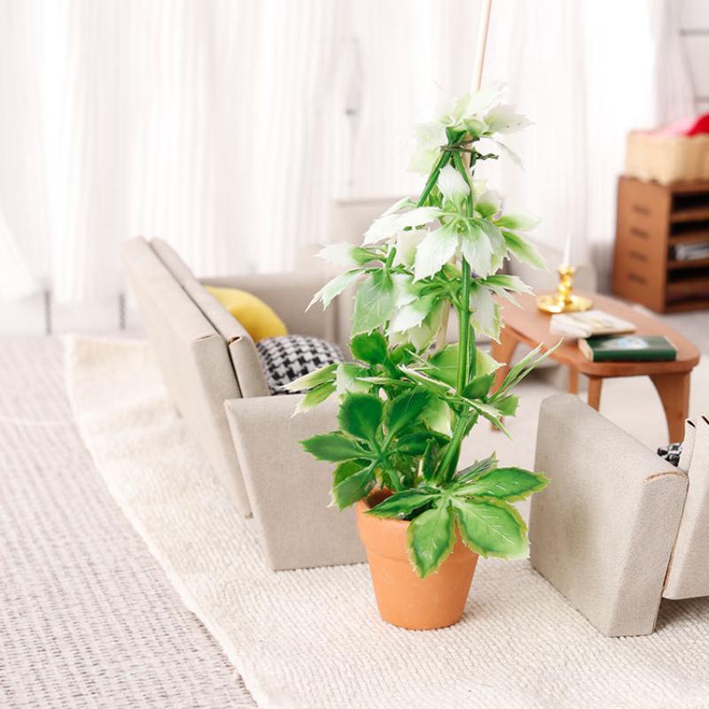 1/12 Dollhouse Simulation Gree - Bonsai Garden Usa recension och pris