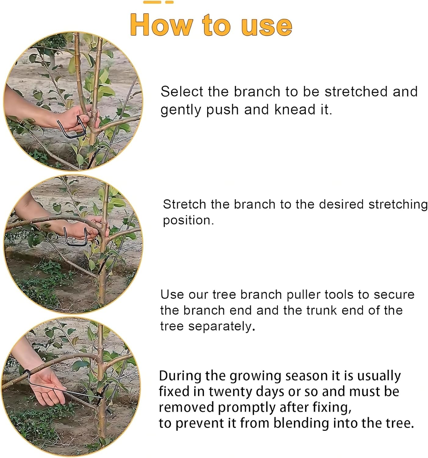 Adjustable Fruit Tree Branch S - Bonsai Garden Usa recension och pris