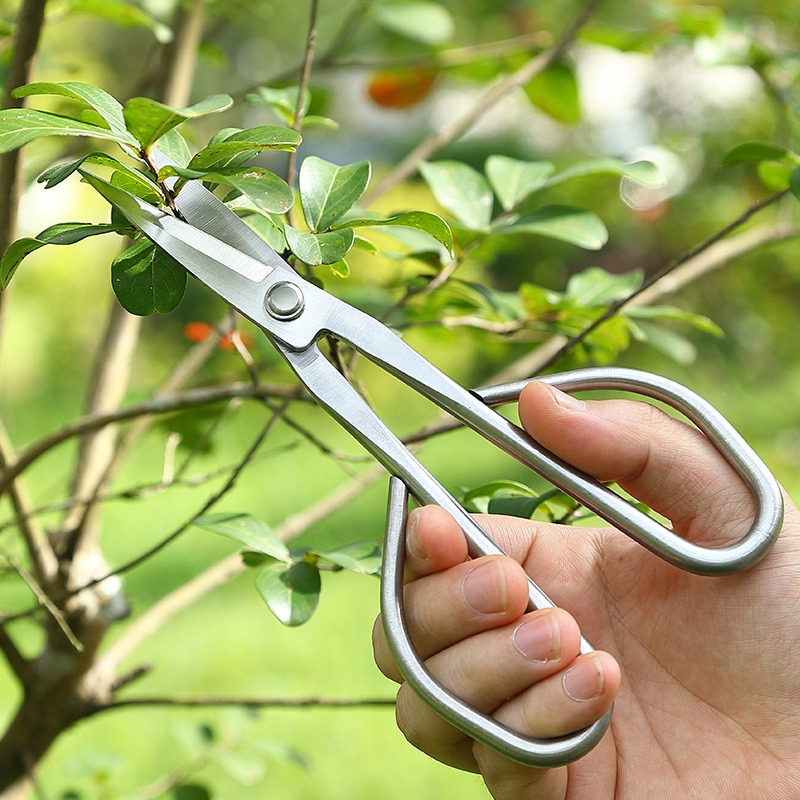 Tender Leaf Scissors Bonsai To - Bonsai Garden Knife recension och pris