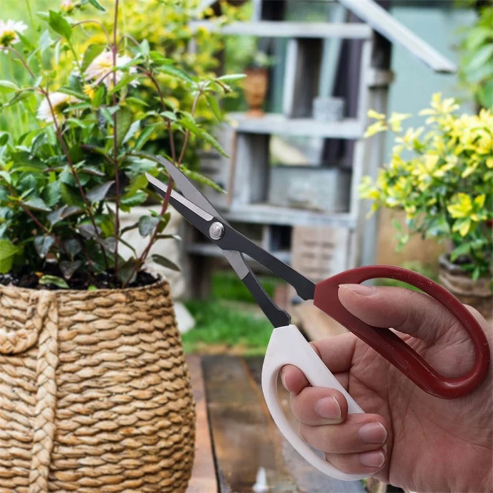 Bonsai Tool Long Handle Scisso - Bonsai Garden Knife recension och pris