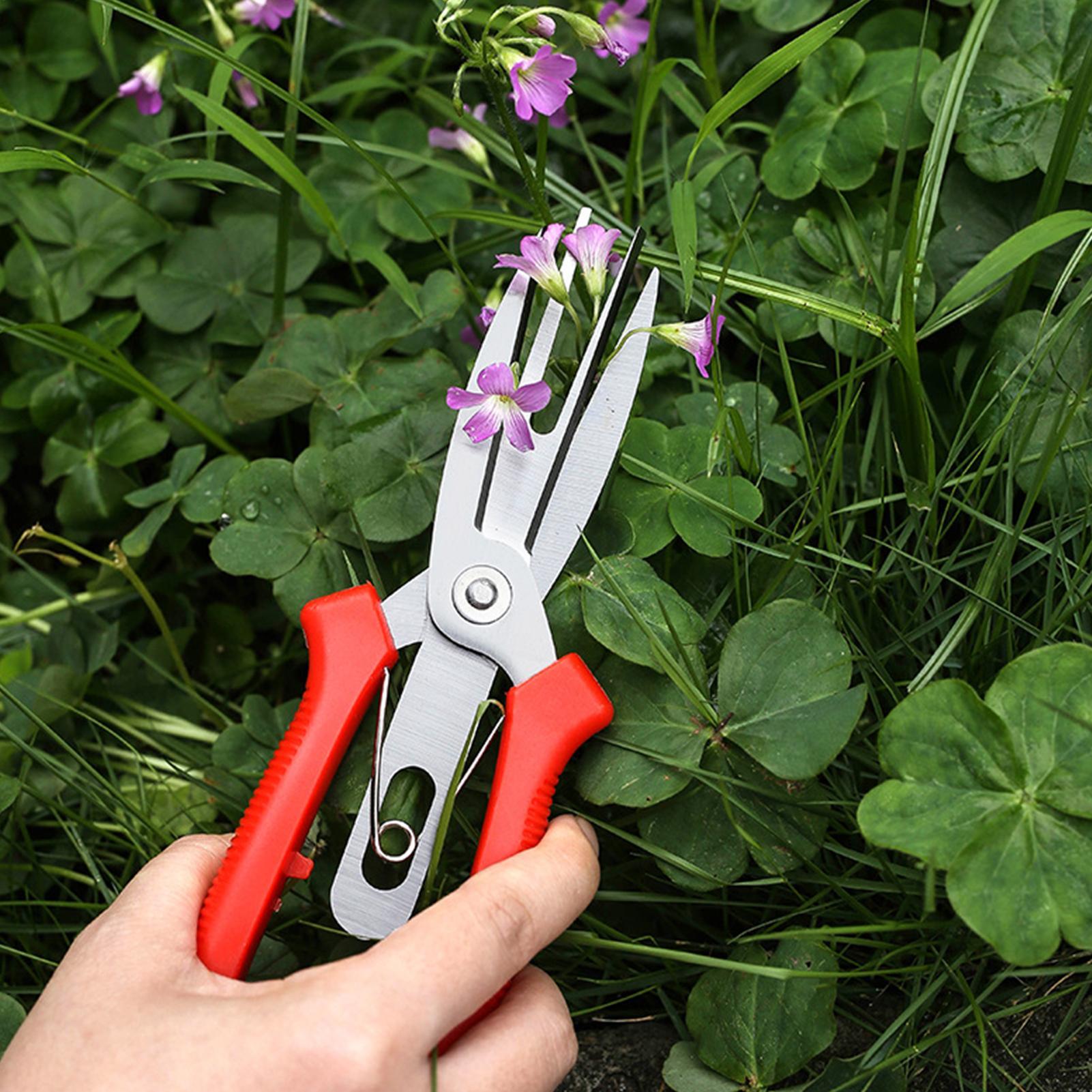 Garden Shears Stainless Steel  - Bonsai Garden Usa recension och pris